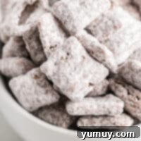 DIY Puppy Chow Perfection 4 A bowl of Homemade Puppy Chow Recipe