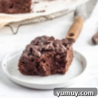 Emerald Fudge Brownies 4 featured avocado brownies.