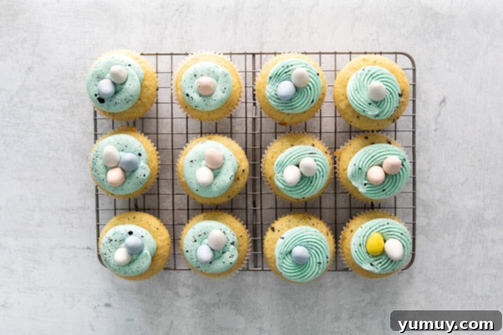 overhead view of 12 easter cupcakes on a wire rack.