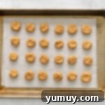 Peanut butter cookies on a baking sheet, illustrating the disc shape.