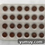 A baking pan filled with chocolate covered donuts, representing chilling desserts.