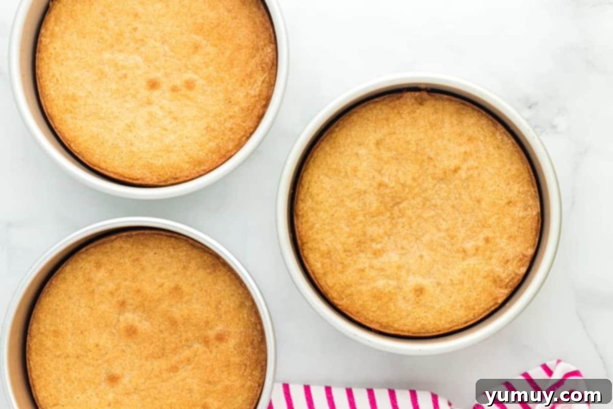 baked donut cake layers in round cake pans.