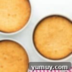 baked donut cake layers in round cake pans.