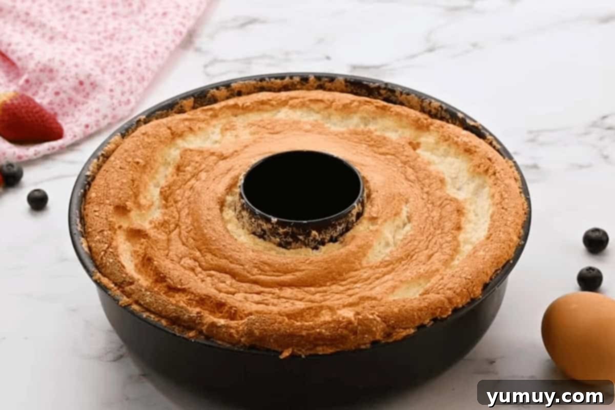 Airy Dream Cake 16 baked angel food cake in a tube pan.