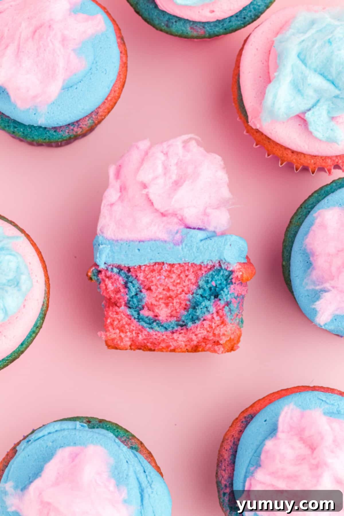 overhead view of a halved blue and pink cotton candy cupcake on its side to show the swirl surrounded by whole upright cotton candy cupcakes.