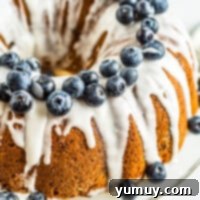 Bursting Blueberry Bundt 4 Featured image of a glorious blueberry bundt cake.