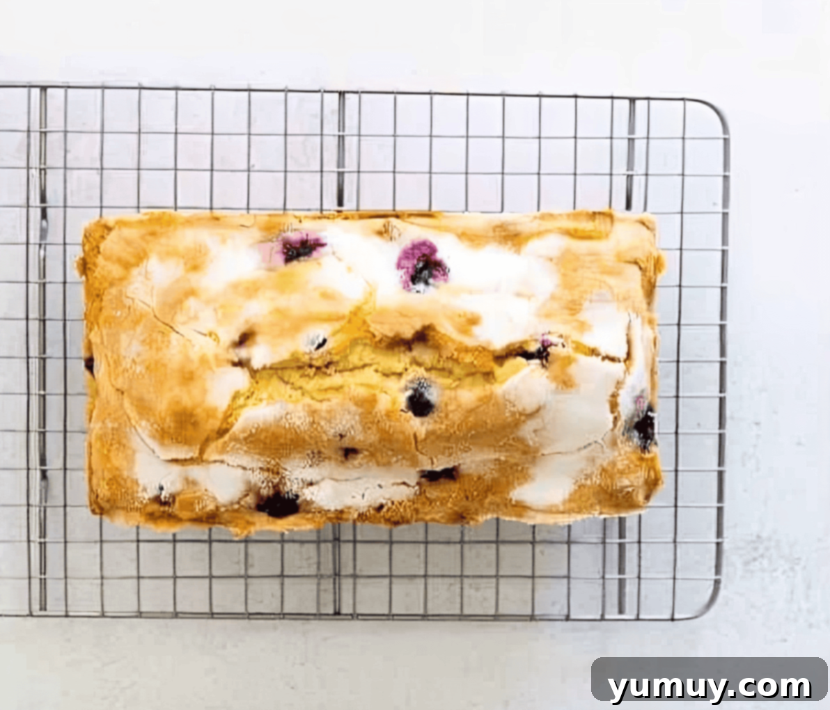 A freshly baked lemon blueberry pound cake, possibly with a light glaze, cooling on a wire rack.