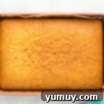 An overhead view of a freshly baked vanilla cake in a rectangular baking pan, golden brown and lightly risen.