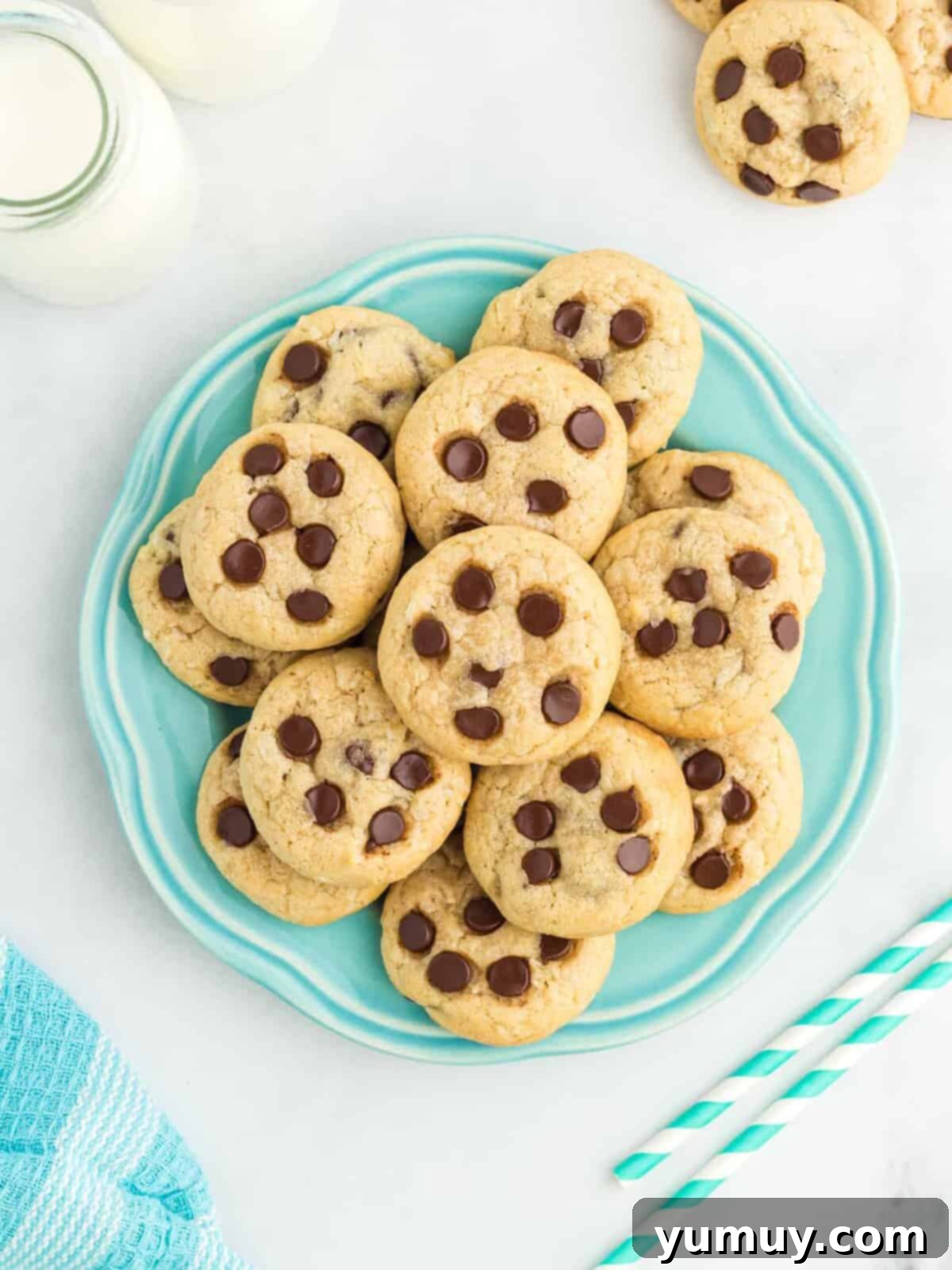 Tropical Coconut Chocolate Chip Delight 2 overhead view of coconut chocolate chip cookies on a blue plate, highlighting their golden edges and rich texture.