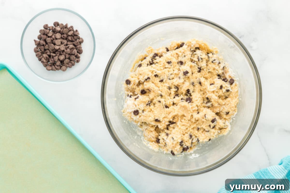 Tropical Coconut Chocolate Chip Delight 14 coconut chocolate chip cookie dough in a glass bowl with chocolate chips and shredded coconut mixed in.