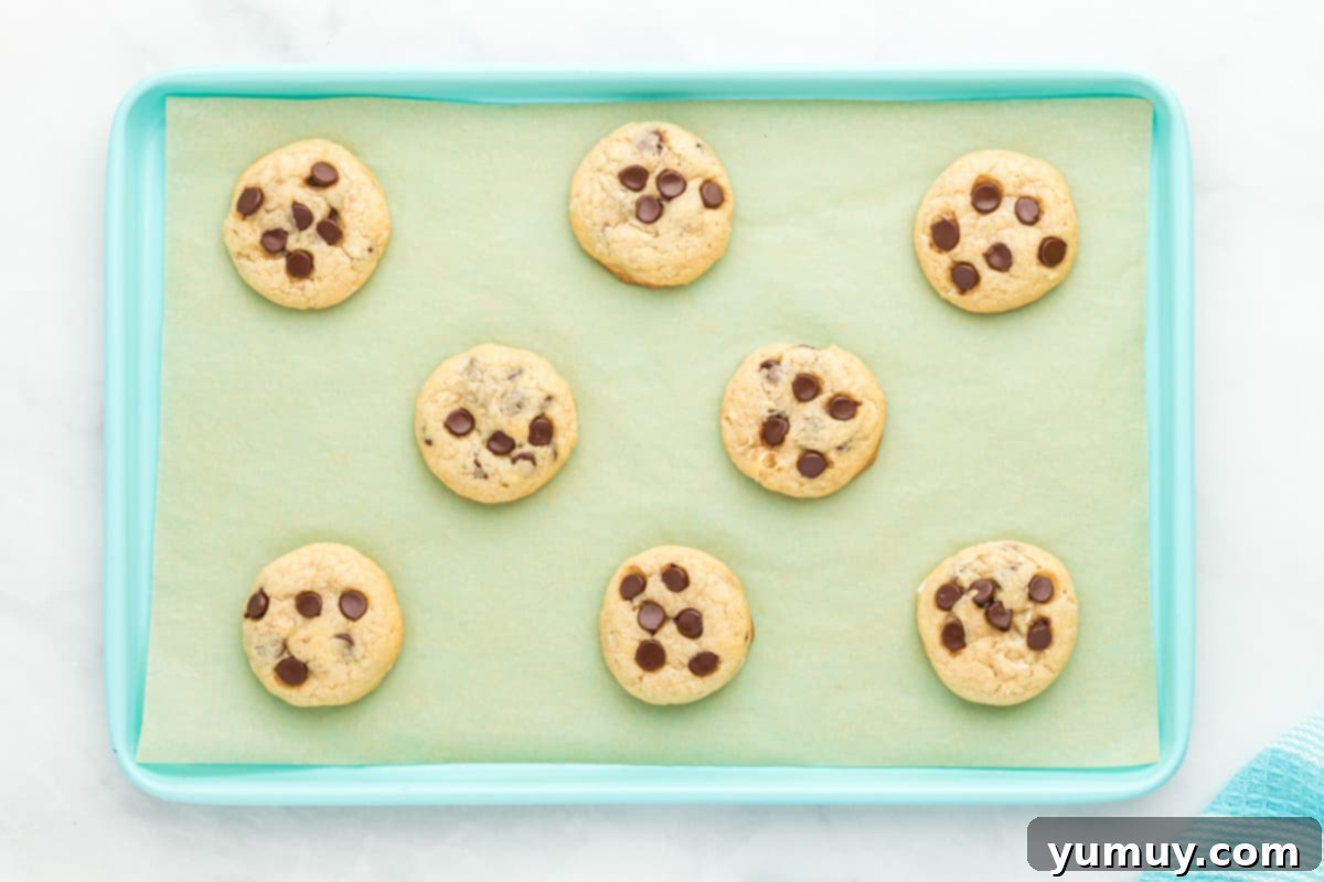 Tropical Coconut Chocolate Chip Delight 16 8 baked coconut chocolate chip cookies on a blue baking sheet, golden and perfectly soft with visible chocolate and coconut.