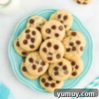 Tropical Coconut Chocolate Chip Delight 4 overhead view of coconut chocolate chip cookies on a blue plate.