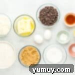 Tropical Coconut Chocolate Chip Delight 5 overhead view of ingredients for coconut chocolate chip cookies including dry ingredients mixed in a bowl.