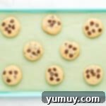 Tropical Coconut Chocolate Chip Delight 10 8 baked coconut chocolate chip cookies on a blue baking sheet, slightly golden and perfectly soft.