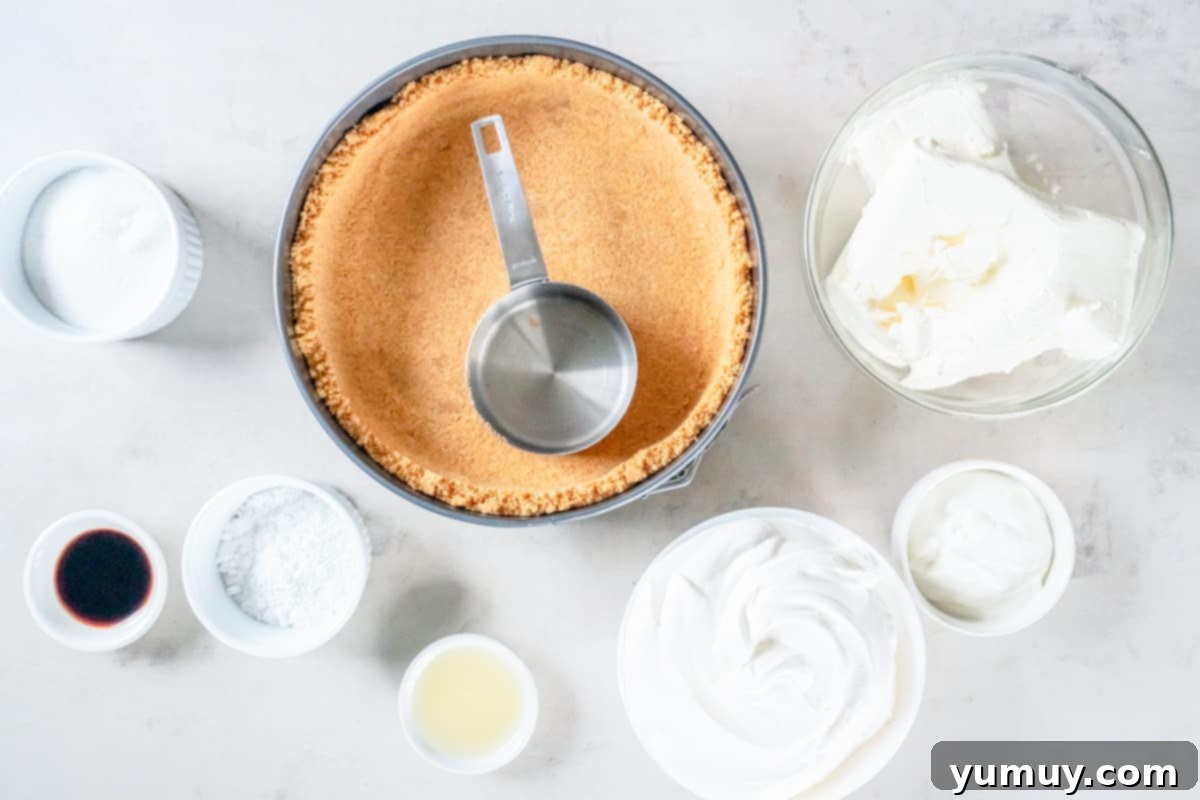A measuring cup being used to firmly press a graham cracker crust into a springform pan, creating a solid and even base for the no-bake cheesecake.