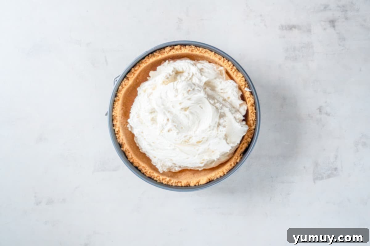 The smooth no-bake cheesecake filling is evenly spread into a golden graham cracker crust within a springform pan, awaiting refrigeration.