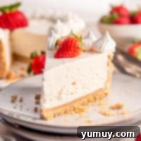 Featured image of a classic no-bake cheesecake, showcasing a perfectly set slice.