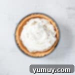 No-bake cheesecake filling being evenly spread into a graham cracker crust within a springform pan, creating a smooth top layer.