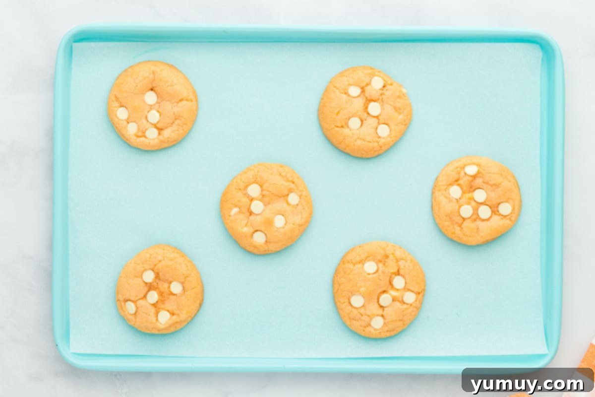 6 baked orange creamsicle cookies on a blue baking sheet.