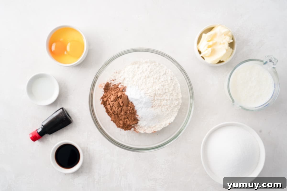 Effortless Red Velvet Cake from a Mix 15 dry ingredients for red velvet cake in a glass bowl.