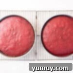 Effortless Red Velvet Cake from a Mix 10 2 baked red velvet cake layers in round cake pans on a wire cooling rack.