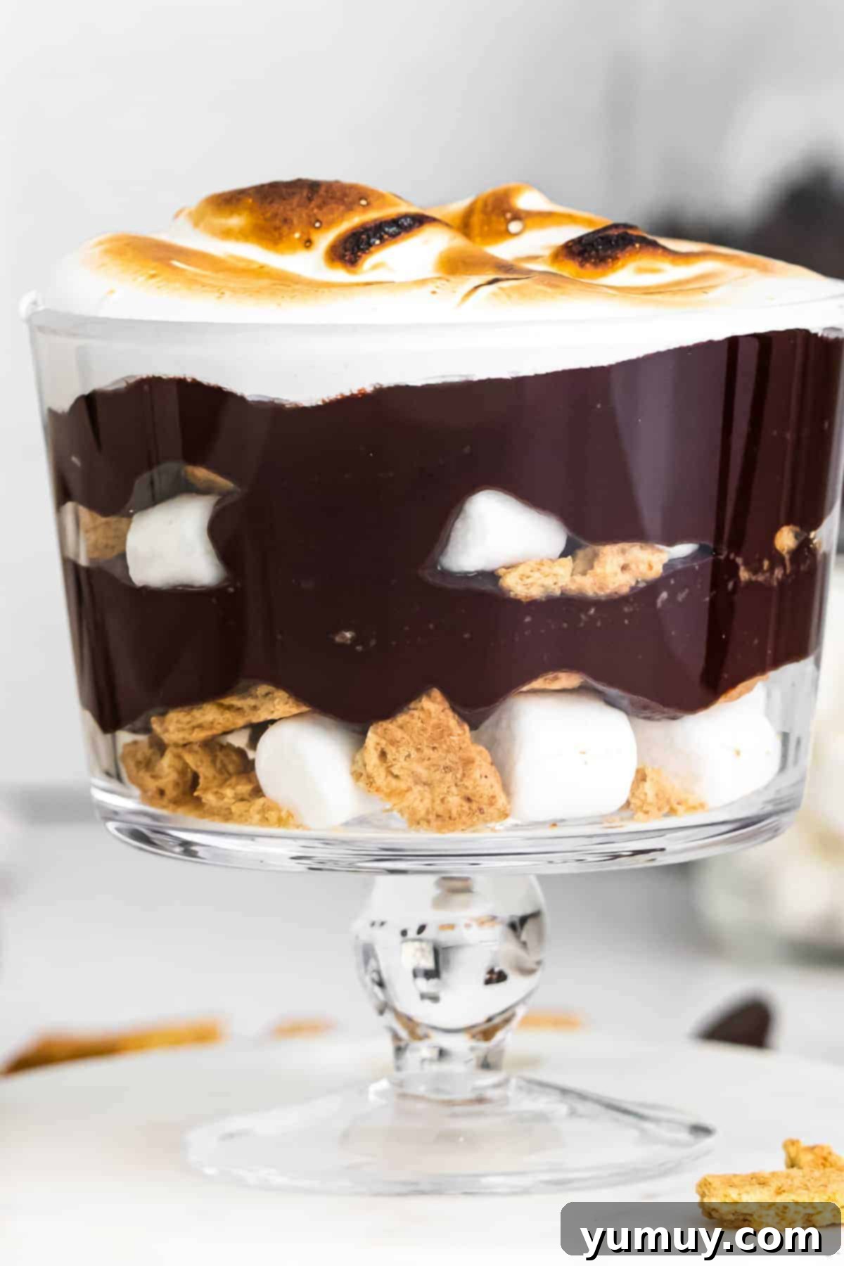 Layered S'mores Delight 2 layered smores trifle in glass dish