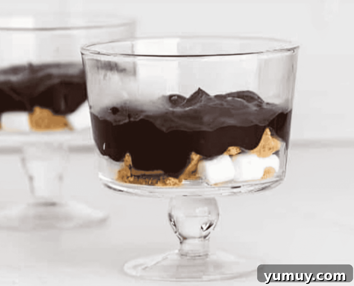 Layered S'mores Delight 14 chocolate pudding over marshmallows and graham crackers in a trifle dish.