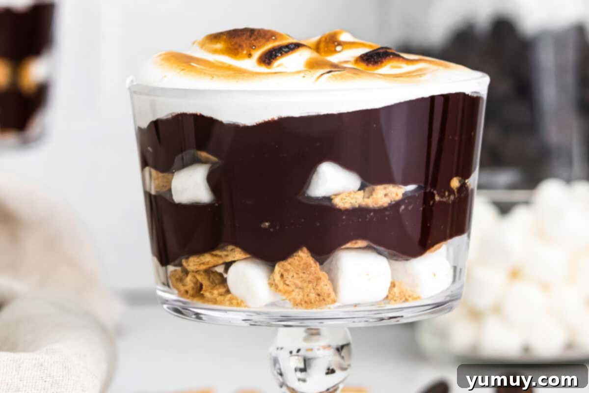 Layered S'mores Delight 15 layered smores trifle in glass dish with ingredients in back