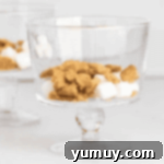 Layered S'mores Delight 7 marshmallows and graham crackers in a trifle dish.