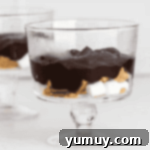 Layered S'mores Delight 8 chocolate pudding over marshmallows and graham crackers in a trifle dish.