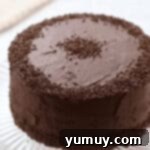 A frosted and decorated devil's food cake on a cake stand.