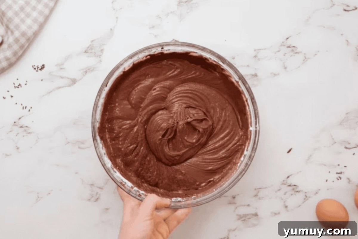Rich, dark devil's food cake batter in a glass bowl, showing its smooth consistency.