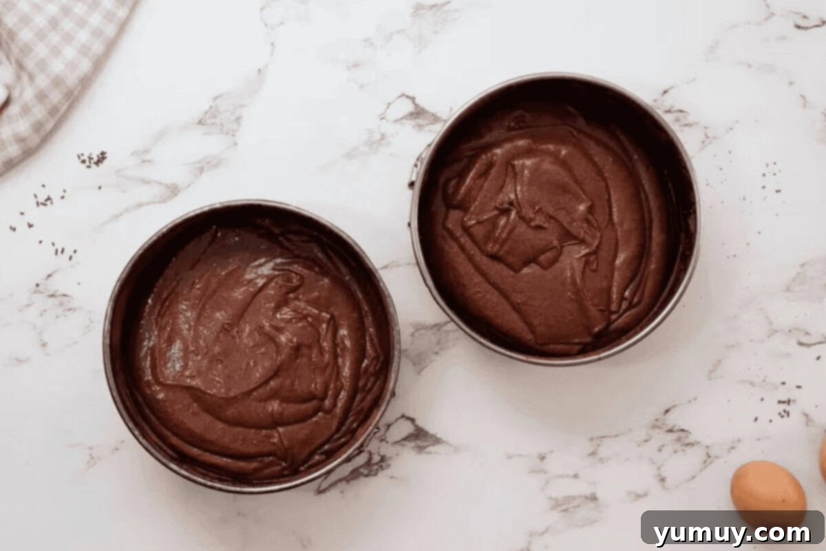 Devil's food cake batter neatly divided between two round cake pans, ready for baking.