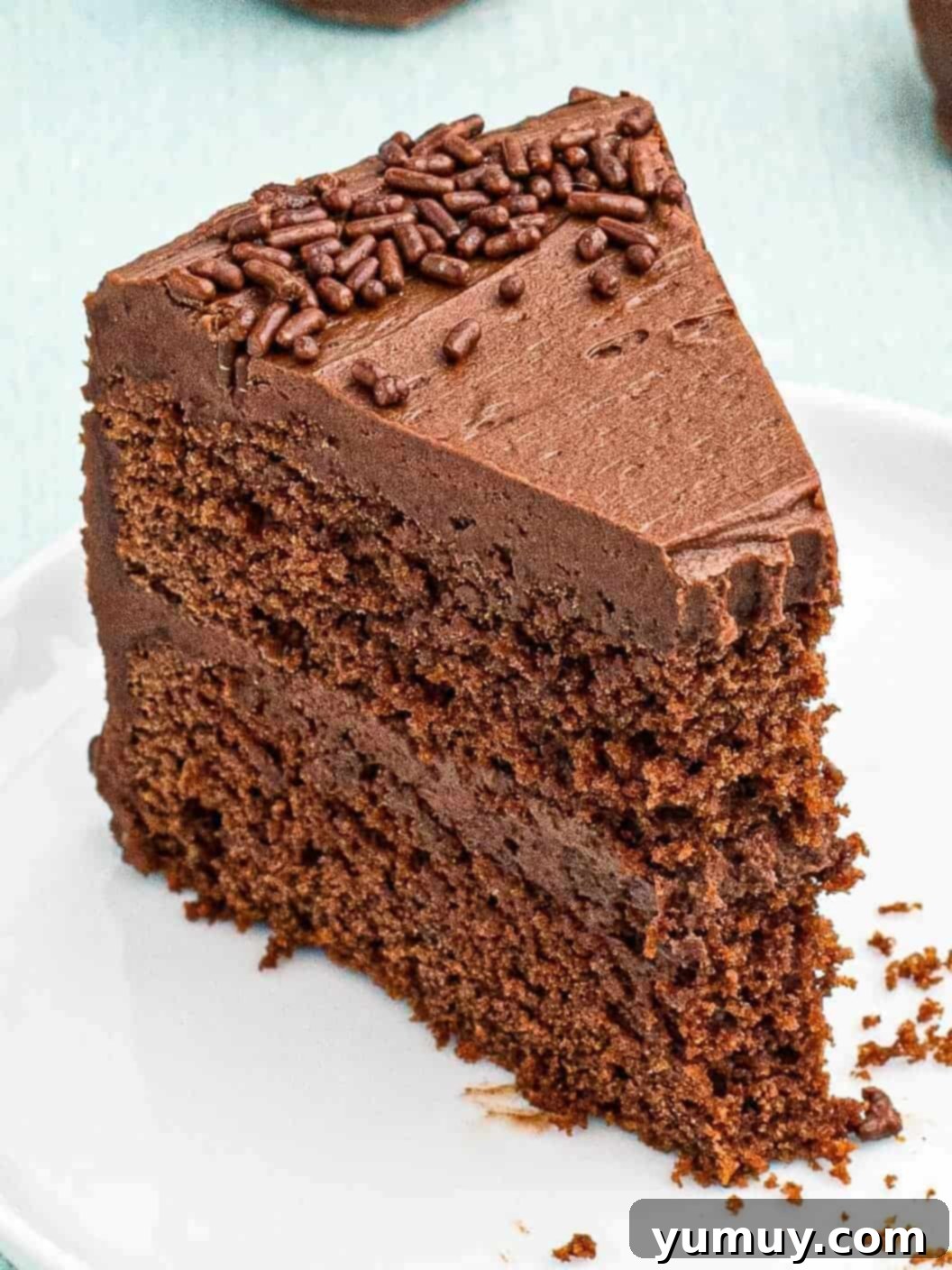 A slice of devil's food cake with a bite taken out, showcasing its moist texture and rich frosting