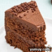 Devil's Food Cake with a slice taken out