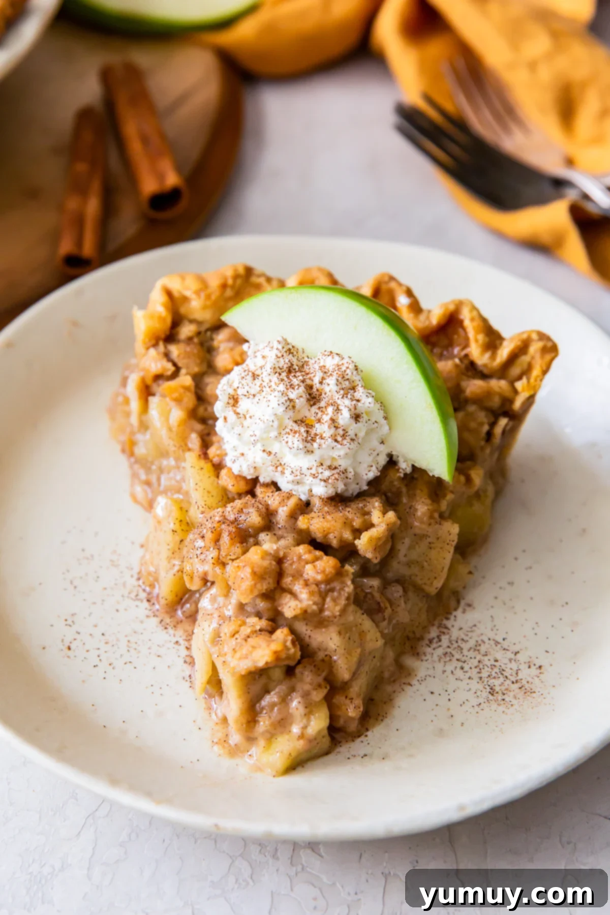 Homestyle Dutch Apple Pie 2 A generous slice of Dutch apple pie, showcasing its golden streusel crumb topping, creamy garnish, and a decorative green apple slice.