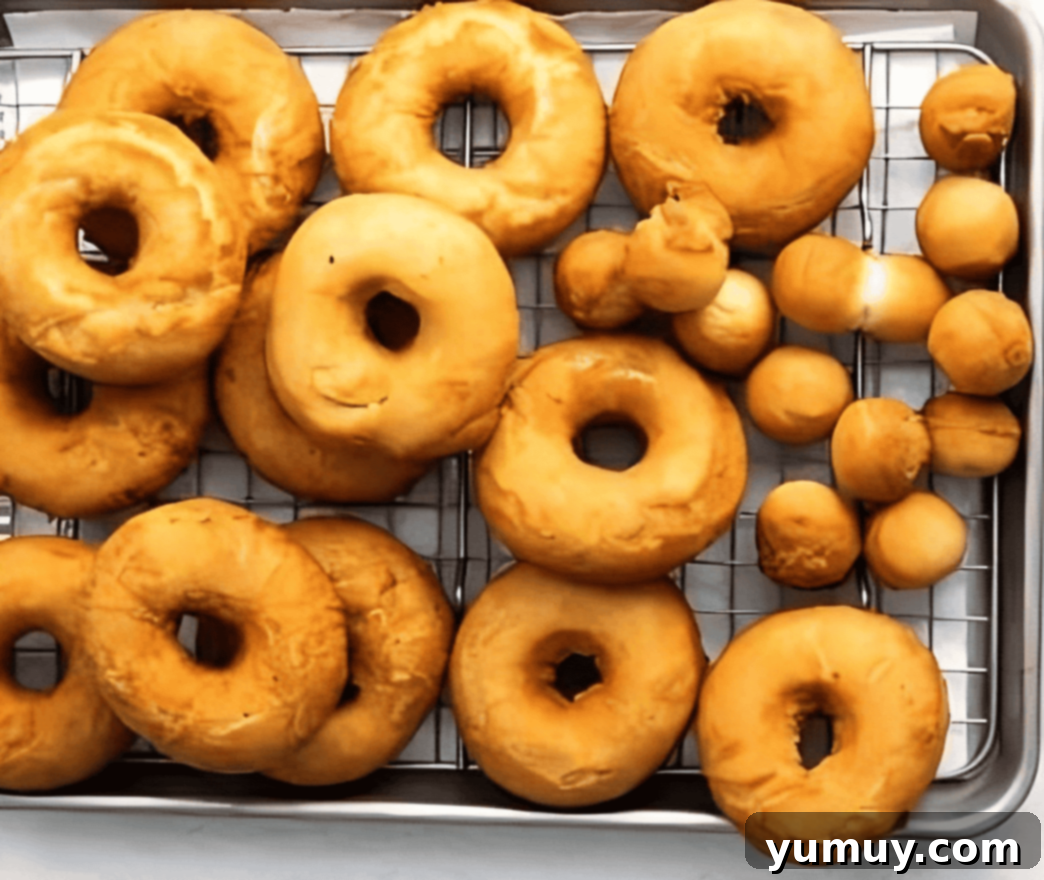 fried donuts on a wire rack.