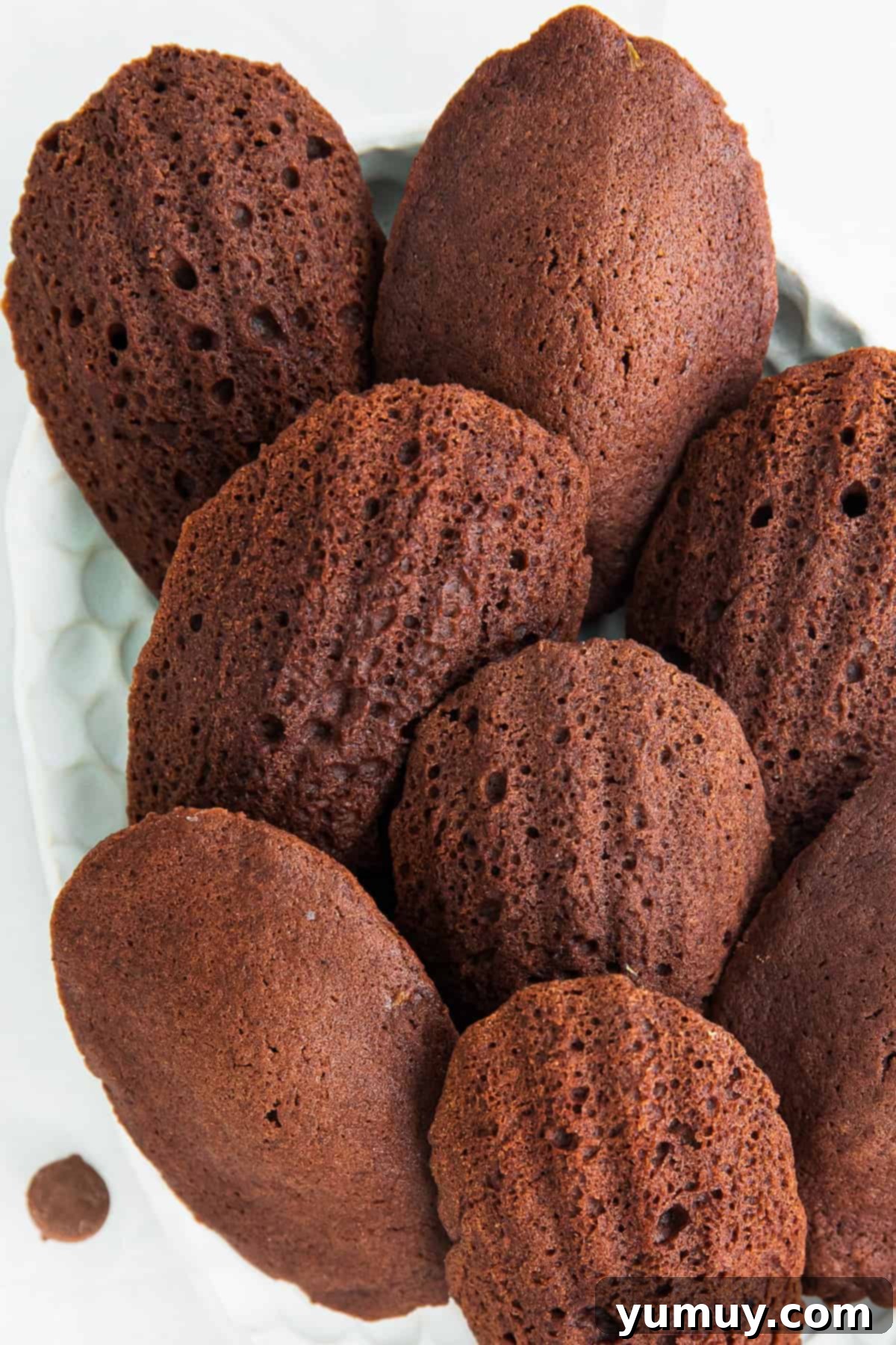 up close chocolate madeleines on serving dish