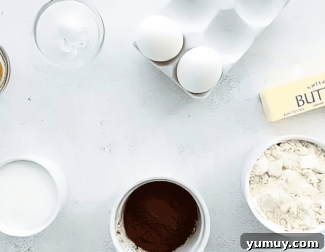 ingredients for chocolate madeleines.