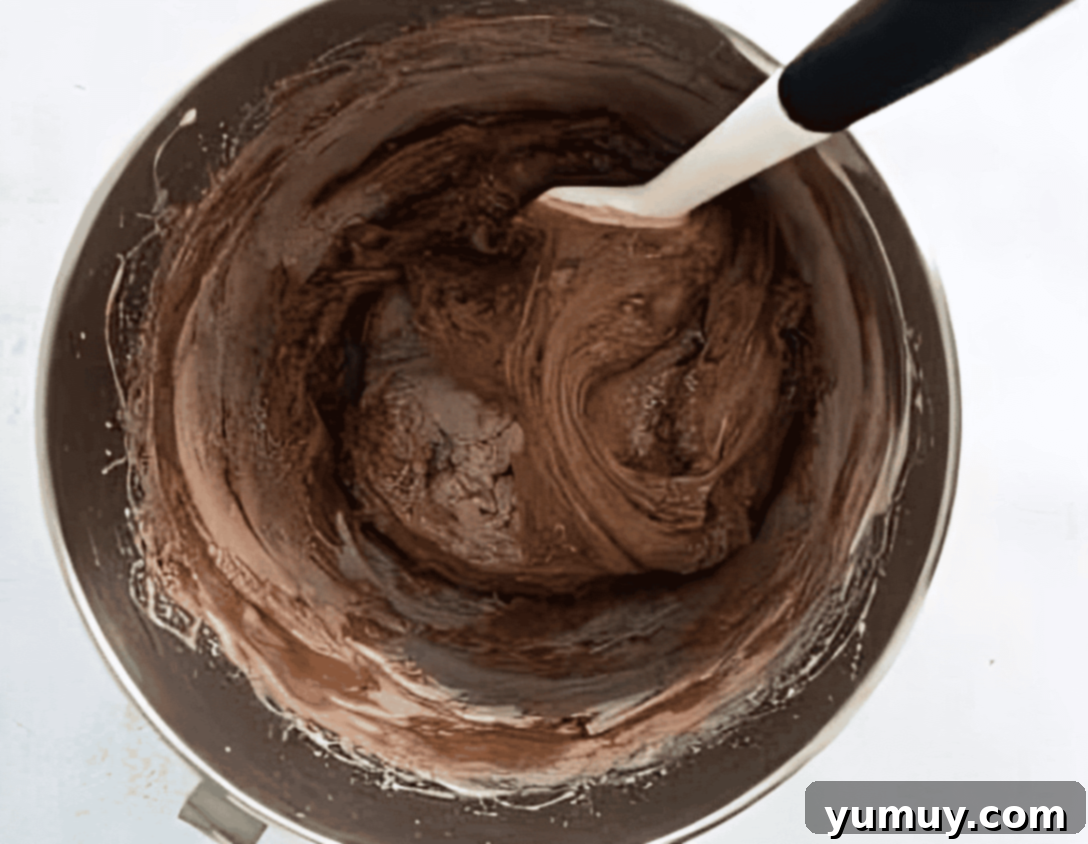 chocolate madeleine batter in a stainless mixing bowl with a rubber spatula.