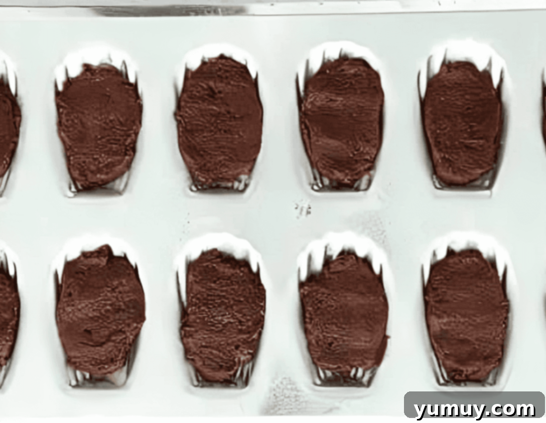 chocolate batter in a madeleine pan.