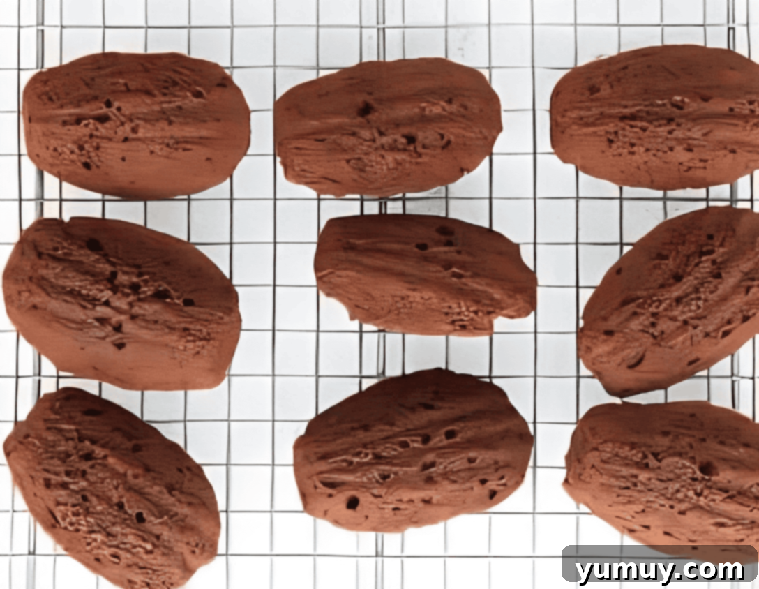 baked chocolate madeleines on a wire rack.