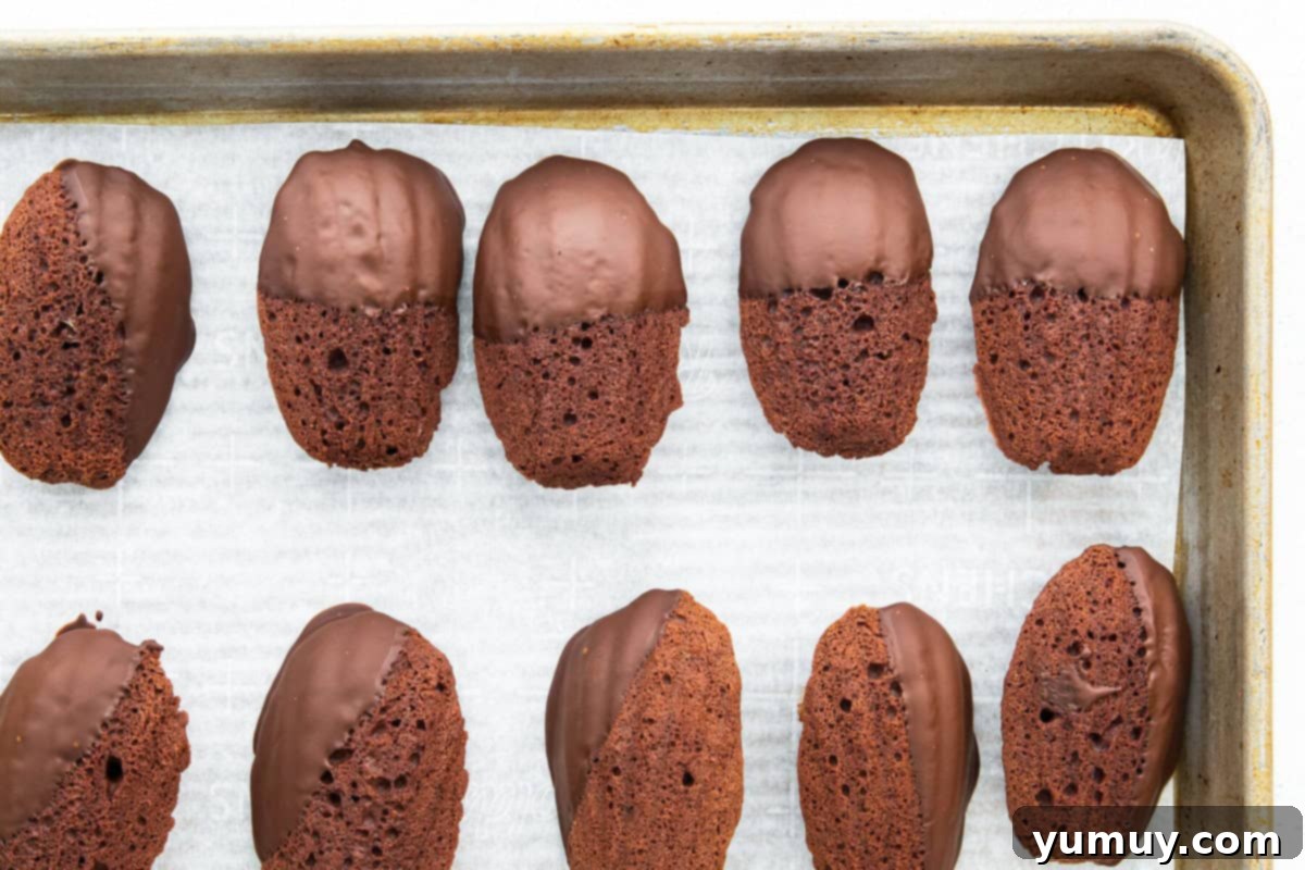 chocolate dipped chocolate madeleine cookies on baking sheet