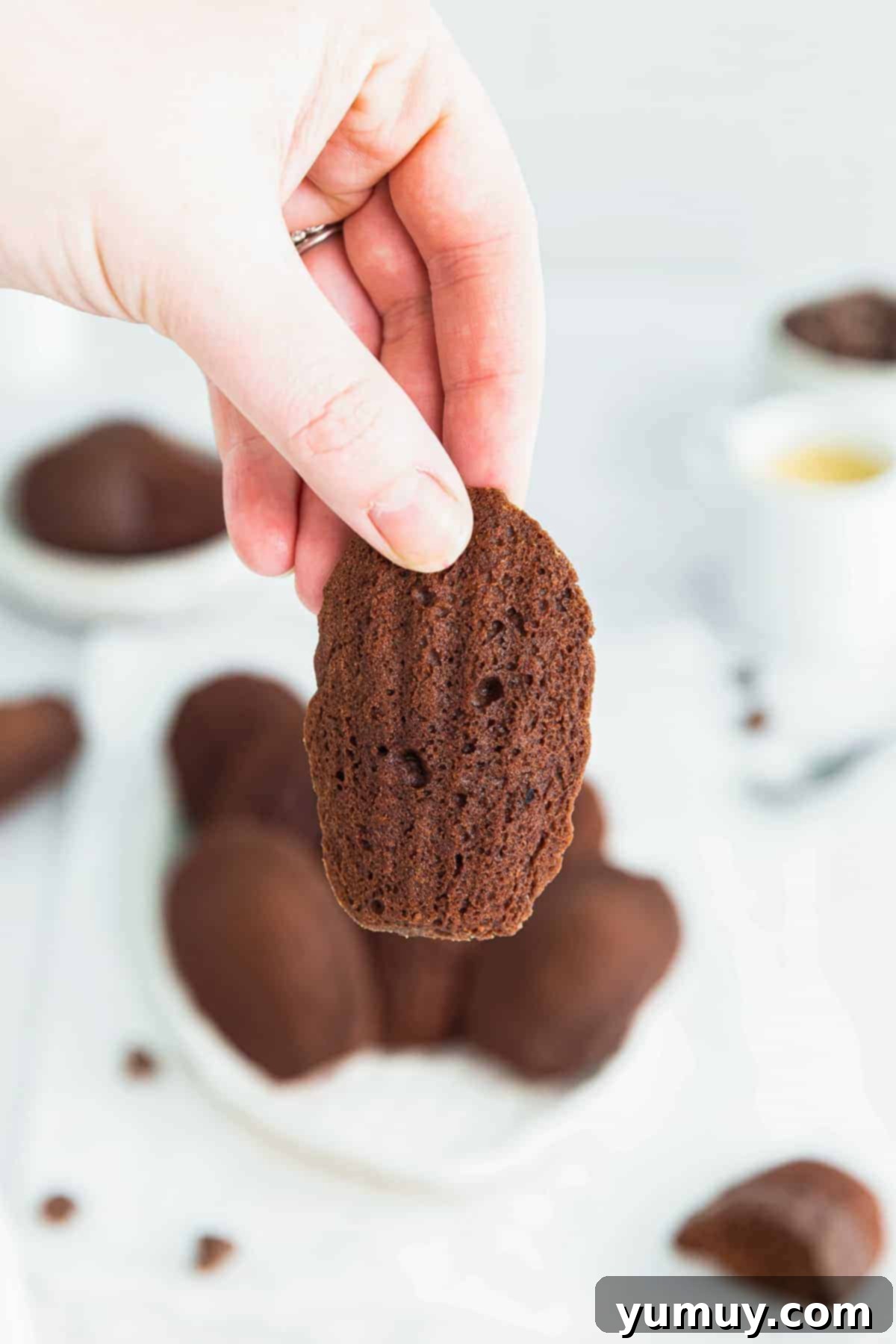 holding up chocolate madeleine cookie