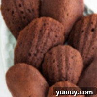up close chocolate madeleines on serving dish