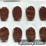 chocolate batter in a madeleine pan.