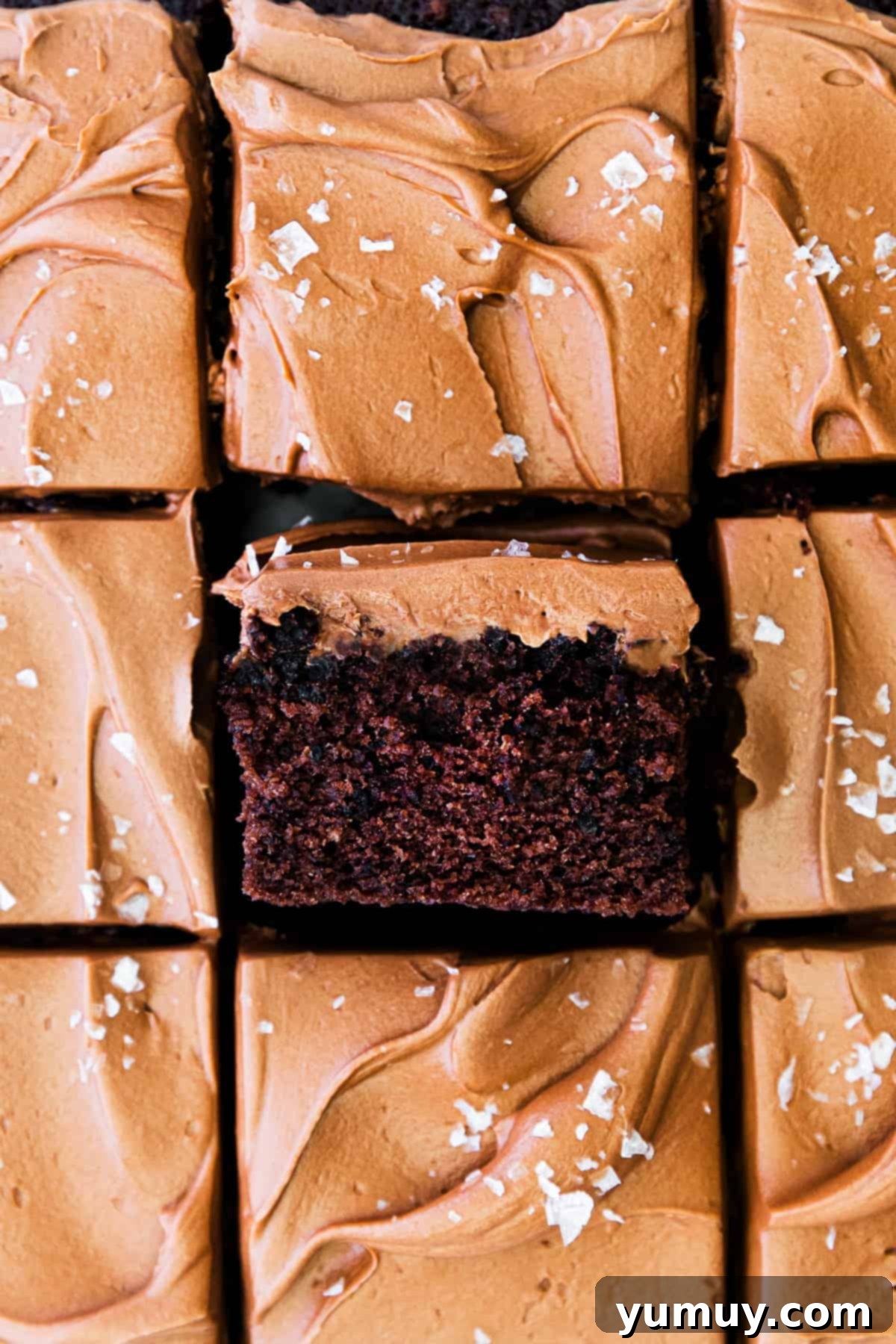 close up on double chocolate cake cut into squares.