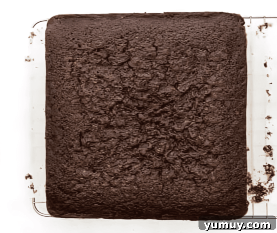 baked chocolate cake on a cooling rack.