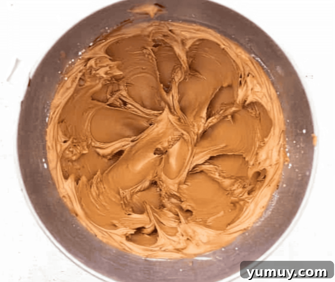 whipped chocolate frosting in a stainless mixing bowl.