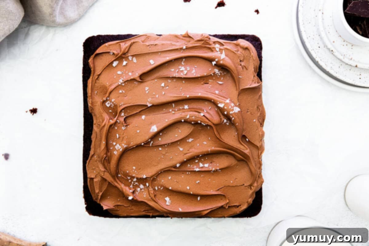 overhead chocolate cake with chocolate frosting